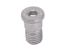 Load image into Gallery viewer, Brake Disc Screw