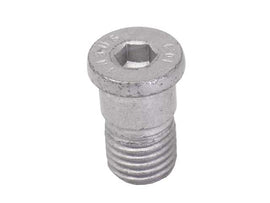 Brake Disc Screw