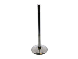 Intake Valve