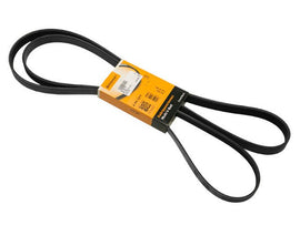 Belt 6K X 2271 - AM42 EuroCars