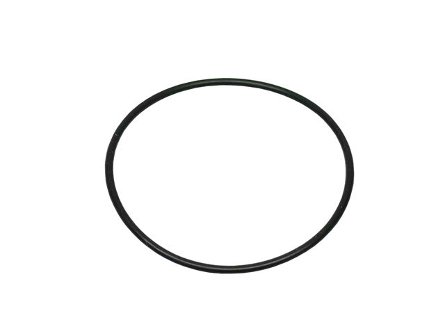 Actuator O-Ring