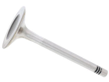 Load image into Gallery viewer, Intake Valve - AM42 EuroCars