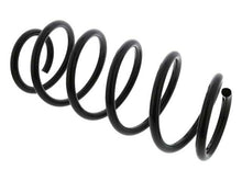 Load image into Gallery viewer, Coil Spring