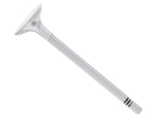 Load image into Gallery viewer, Exhaust Valve