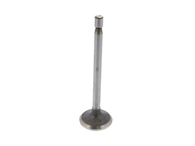 Intake Valve