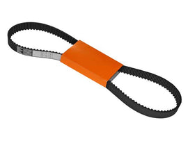 Timing Belt - AM42 EuroCars