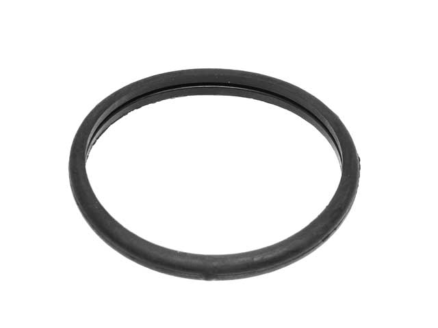 Thermostat Seal