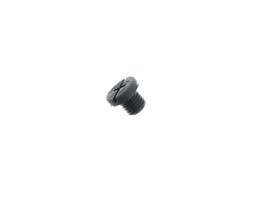 Coolant Bleeder Screw
