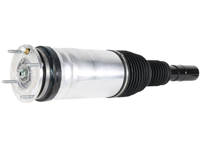 Suspension Strut Assembly