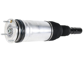 Suspension Strut Assembly