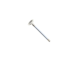 Exhaust Valve
