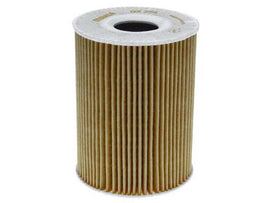 Oil Filter Kit