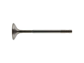 Intake Valve