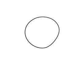 Differential Cover O-Ring