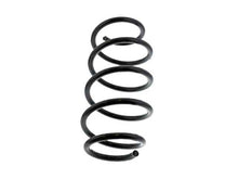 Load image into Gallery viewer, Coil Spring
