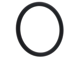 Coolant Flange Seal