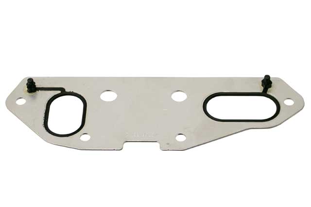 Engine Oil Cooler Gasket