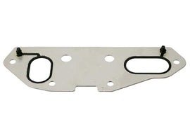 Engine Oil Cooler Gasket