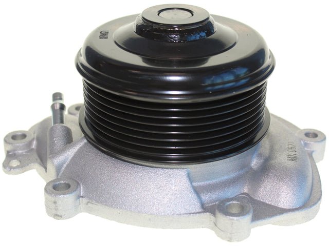 Water Pump - AM42 EuroCars