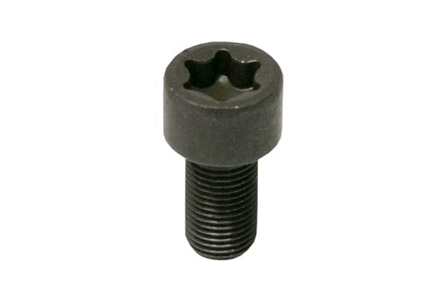 Crankshaft Bolt