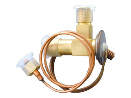 Expansion Valve
