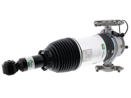 Air Suspension Strut - AM42 EuroCars