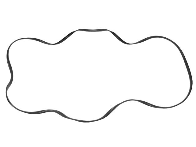 Windshield Seal