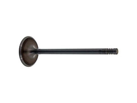 Intake Valve