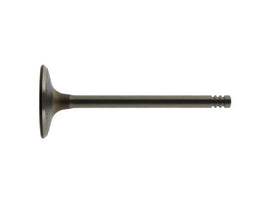 Intake Valve
