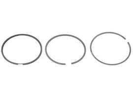 Piston Ring Set