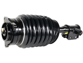 Air Suspension Strut - AM42 EuroCars