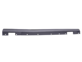 Rocker Panel Moulding