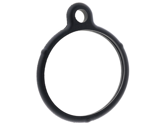 Thermostat Seal