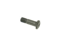 Load image into Gallery viewer, Valve Adjusting Bolt