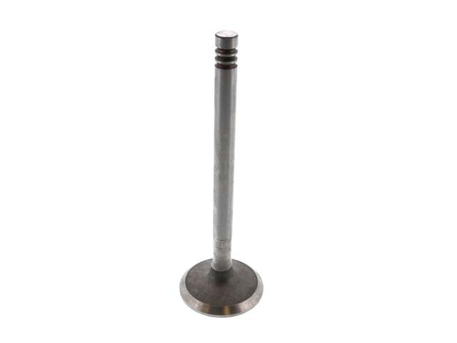 Intake Valve