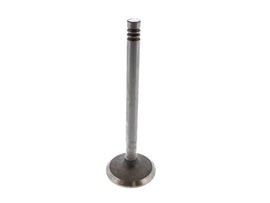 Intake Valve