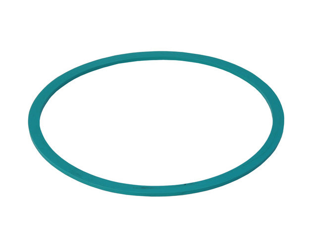 Fuel Pump Seal