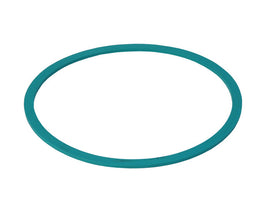 Fuel Pump Seal