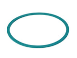 Fuel Pump Seal