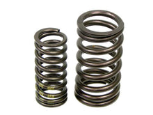 Load image into Gallery viewer, Valve Spring Set