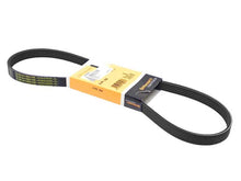 Load image into Gallery viewer, Belt 5PK X 925
