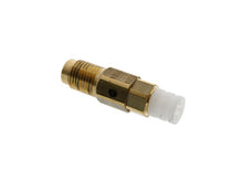 Load image into Gallery viewer, Bleed Valve Screw