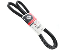 Load image into Gallery viewer, Belt