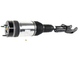 Air Suspension Strut