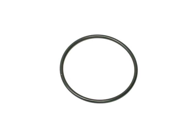 Thermostat O-Ring