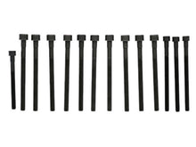 Load image into Gallery viewer, Cylinder Head Bolt Set