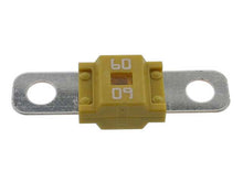 Load image into Gallery viewer, Fuse - 60 Amp