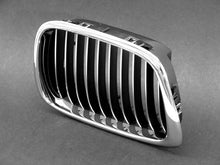 Load image into Gallery viewer, Grille