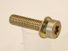 Load image into Gallery viewer, Bolt