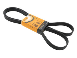 Belt 7PK X 2005 - AM42 EuroCars